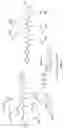 Fig. 14 - Nucleotide derivatives and methods of use thereof