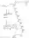 Fig. 15 - Nucleotide derivatives and methods of use thereof