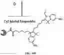 Fig. 17 - Nucleotide derivatives and methods of use thereof