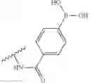 Fig. 175 - Nucleotide derivatives and methods of use thereof