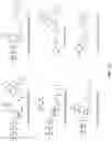 Fig. 19 - Nucleotide derivatives and methods of use thereof