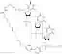 Fig. 194 - Nucleotide derivatives and methods of use thereof