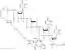 Fig. 197 - Nucleotide derivatives and methods of use thereof