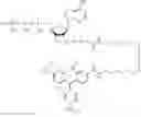 Fig. 305 - Nucleotide derivatives and methods of use thereof