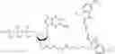 Fig. 318 - Nucleotide derivatives and methods of use thereof