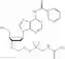 Fig. 389 - Nucleotide derivatives and methods of use thereof