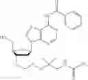 Fig. 415 - Nucleotide derivatives and methods of use thereof
