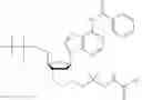 Fig. 416 - Nucleotide derivatives and methods of use thereof