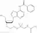 Fig. 417 - Nucleotide derivatives and methods of use thereof