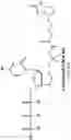 Fig. 43 - Nucleotide derivatives and methods of use thereof