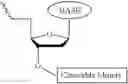 Fig. 436 - Nucleotide derivatives and methods of use thereof