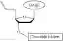 Fig. 440 - Nucleotide derivatives and methods of use thereof