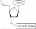 Fig. 446 - Nucleotide derivatives and methods of use thereof