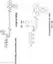 Fig. 45 - Nucleotide derivatives and methods of use thereof