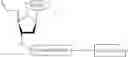 Fig. 455 - Nucleotide derivatives and methods of use thereof