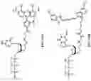 Fig. 47 - Nucleotide derivatives and methods of use thereof