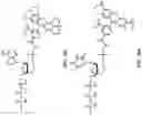 Fig. 48 - Nucleotide derivatives and methods of use thereof