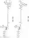 Fig. 49 - Nucleotide derivatives and methods of use thereof