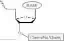 Fig. 491 - Nucleotide derivatives and methods of use thereof