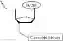Fig. 495 - Nucleotide derivatives and methods of use thereof