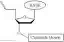 Fig. 529 - Nucleotide derivatives and methods of use thereof