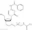 Fig. 554 - Nucleotide derivatives and methods of use thereof