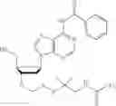 Fig. 556 - Nucleotide derivatives and methods of use thereof