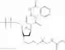 Fig. 606 - Nucleotide derivatives and methods of use thereof