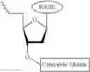 Fig. 624 - Nucleotide derivatives and methods of use thereof