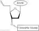 Fig. 628 - Nucleotide derivatives and methods of use thereof