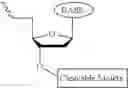 Fig. 634 - Nucleotide derivatives and methods of use thereof