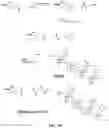 Fig. 69 - Nucleotide derivatives and methods of use thereof