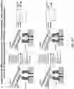 Fig. 77 - Nucleotide derivatives and methods of use thereof