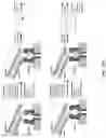Fig. 80 - Nucleotide derivatives and methods of use thereof