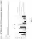 Fig. 85 - Nucleotide derivatives and methods of use thereof