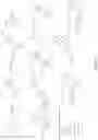 Fig. 98 - Nucleotide derivatives and methods of use thereof
