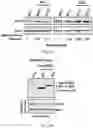 Fig. 09 - Staufen1 agents and associated methods