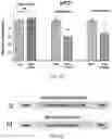 Fig. 14 - Staufen1 agents and associated methods