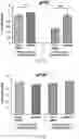 Fig. 19 - Staufen1 agents and associated methods
