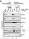Fig. 48 - Staufen1 agents and associated methods