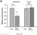 Fig. 51 - Staufen1 agents and associated methods