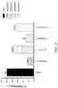 Fig. 04 - COMPLEMENT COMPONENT C5 iRNA COMPOSITIONS AND METHODS OF USE THEREOF