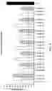 Fig. 05 - COMPLEMENT COMPONENT C5 iRNA COMPOSITIONS AND METHODS OF USE THEREOF