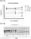 Fig. 06 - COMPLEMENT COMPONENT C5 iRNA COMPOSITIONS AND METHODS OF USE THEREOF