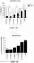 Fig. 08 - COMPLEMENT COMPONENT C5 iRNA COMPOSITIONS AND METHODS OF USE THEREOF