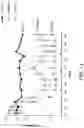 Fig. 14 - COMPLEMENT COMPONENT C5 iRNA COMPOSITIONS AND METHODS OF USE THEREOF