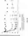 Fig. 53 - COMPLEMENT COMPONENT C5 iRNA COMPOSITIONS AND METHODS OF USE THEREOF