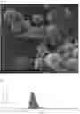 Fig. 01 - Calcium peroxides nanoparticles as adjuvant therapy