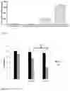 Fig. 06 - Calcium peroxides nanoparticles as adjuvant therapy