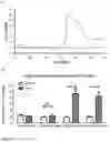 Fig. 07 - Calcium peroxides nanoparticles as adjuvant therapy